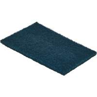 LPS C59660 Detex&reg; Metal Detectable Scouring Pad, 8-9/10" L x 5-9/10" W