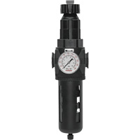 Topring 50.250A Filtre/r&eacute;gulateur Modulair 400 avec vidange manuelle, 3/4" NPT, 200 psi, Capacit&eacute; de 9,1 oz liq.