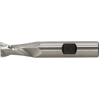 Weldon Shank Slot Drill Bit  BI156 | TENAQUIP