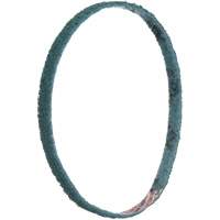 3M SB69506 Courroies de traitement des surfaces Scotch-Brite