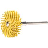 3M SB27612 Disques &agrave; soies radiales Scotch-Brite, C&eacute;ramique, Grain 80X, 1" dia.