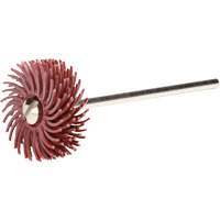 3M SB25757 Scotch-Brite Radial Bristle Discs, P220X Grit, 3/4" Dia.