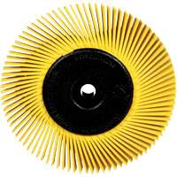 3M SB27606 Brosses radiales bristle pour meuleuses d'&eacute;tabli, Grain 80X, 6" dia.