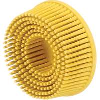 3M SB18732 Disques &agrave; soies Roloc Scotch-Brite, Grain 80, 2" dia.