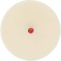3M SB07501 Disque pour enlever les bandes et les adh&eacute;sifs pour moulures Scotch-Brite, 4" dia.