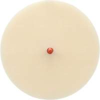3M SB07502 Disque Scotch-Brite 7502 pour retrait de colle et de bandes de moulage, 6" dia.