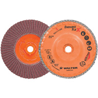Flap Discs