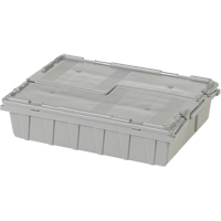 Orbis 5877403 Flipak&reg; Polyethylene Plastic (PE) Distribution Containers, 21.8" x 15.1" x 5.5", Grey