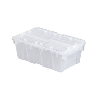 Orbis 5330494 Flipak&reg; Polypropylene Plastic (PP) Distribution Containers, 19.7" x 11.8" x 7.3", Clear