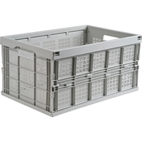 Collapsible Container, 21" L x 14" W x 10.5" H, Grey CF326 | TENAQUIP