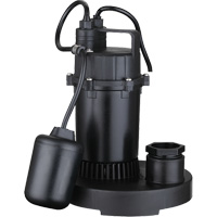LEO LSD-252PLT Pompe de puisard submersible thermoplastique, 2560 gal./h, 115 V, 4,6 A, 1/3 CV