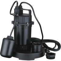 LEO LSD-252PLT Pompe de puisard submersible thermoplastique, 2560 gal./h, 115 V, 4,6 A, 1/3 CV