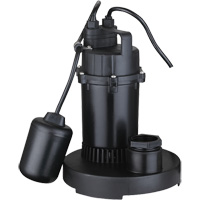 LEO LSD-252PLT Pompe de puisard submersible thermoplastique, 2560 gal./h, 115 V, 4,6 A, 1/3 CV