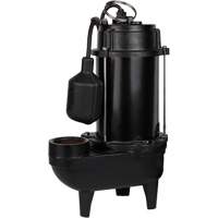 Cast Iron Effluent Pump, 4800 GPH, 120 V, 7.8 A, 1/2 HP  DC844 | TENAQUIP