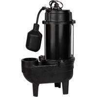 Cast Iron Sewage Pump, 120 V, 9.5 A, 6400 GPH, 3/4 HP  DC851 | TENAQUIP