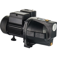 LEO UJM100-1 Dual Voltage Cast Iron Shallow Well Jet Pump, 115 V/230 V, 1100 GPH, 1 HP