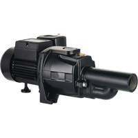 LEO UDPM75-1 Dual Voltage Cast Iron Convertible Jet Pump, 115 V/230 V, 1400 GPH, 3/4 HP