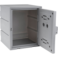 Locker, 15" x 15" x 18", Grey, Assembled  FC689 | TENAQUIP