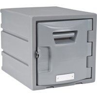 Locker, 12" x 15" x 12", Grey, Assembled  FH725 | TENAQUIP