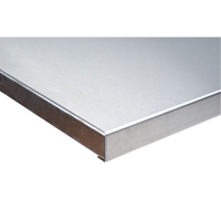 KLETON FI277 304 Stainless Steel Wood-Filled Workbench Tops, 36" D x 72" W, 1-3/4" Thick