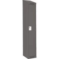 Anthony Steel Mfg. CL-S-1-15X18X72-ST_A127 Clean Line Lockers, 15" x 18" x 78", Steel, Charcoal, Rivet (Assembled)