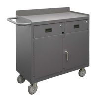 Mobile Bench Cabinet, Steel Surface  FL638 | TENAQUIP