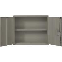 Wall Mounted Cabinet, Steel, 2 Shelves, 30" H x 36" W x 12" D, Grey  FL781 | TENAQUIP