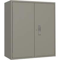 Lo-Boy Storage Cabinet, Steel, 2 Shelves, 40" H x 36" W x 18" D, Grey  FL783 | TENAQUIP