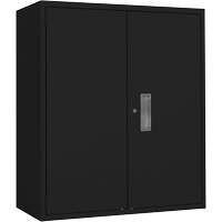 Armoire de rangement Lo-Boy, Acier, 2 Tablettes, 42" h x 36" la x 18" P, Noir  FL784 | TENAQUIP