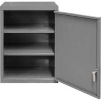 Wall-Mounted Cabinet, 27" H x 13-11/16" W x 18" D, 2 Shelves, Steel, Grey  FL997 | TENAQUIP