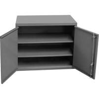 Durham Manufacturing 072SD-95 Wall-Mounted Cabinet, 27" H x 13-11/16" W x 35-7/8" D, 2 Shelves, Steel, Grey