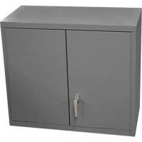 Durham Manufacturing 072SD-95 Wall-Mounted Cabinet, 27" H x 13-11/16" W x 35-7/8" D, 2 Shelves, Steel, Grey