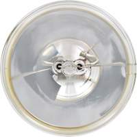 Sylvania 31015 4537 Basic Sealed Beam Headlight, Incandescent, 100 W, Off White