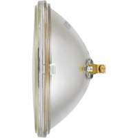 Sylvania 31015 4537 Basic Sealed Beam Headlight, Incandescent, 100 W, Off White