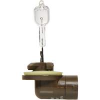 Sylvania 31575 886 Basic Fog Light Bulb, Halogen, 50 W, Off White