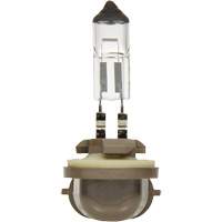 Sylvania 31581 896 Basic Fog Light Bulb, Halogen, 37.5 W, Off White