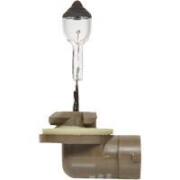 Sylvania 31581 896 Basic Fog Light Bulb, Halogen, 37.5 W, Off White
