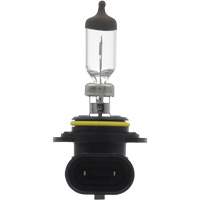 9006 Basic Headlight Bulb  FLT885 | TENAQUIP