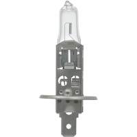 Sylvania 39485 64155 Basic Automotive Bulb, Halogen, 78 W, Off White