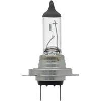 Sylvania 39653 Ampoule automobile &agrave; longue dur&eacute;e de vie H7, Halog&egrave;ne, 55 W/60 W, Blanc