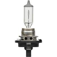 Sylvania 31566 Ampoule de base pour feu avant H11B, Halog&egrave;ne, 55 W, Blanc cass&eacute;