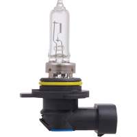 Sylvania 31561 9012 Ampoule de base pour feu avant, Halog&egrave;ne, 60 W, Blanc cass&eacute;