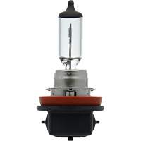 Sylvania 31565 Ampoule de base pour feu avant H11, Halog&egrave;ne, 55 W, Blanc cass&eacute;