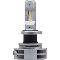 Sylvania 37693 9003 Ampoule pour feu avant, DEL, 12 W/14 W/24 W, Blanc