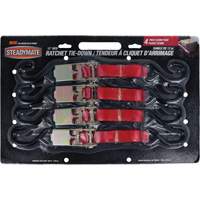 Kinedyne 15531 Tendeurs d'arrimage &agrave; cliquet, Crochet en S, 1" , 12' , Charge d'utilisation max. 500 lb (230 kg)