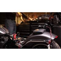 NOCO GENIUS10 Chargeur de batterie 10 A Genius 10