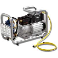 CPS TRSA21 R134A & R1234YF Refrigerant Scavenger with Manifold