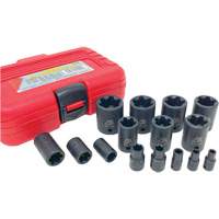 CTA 5420 EP "Star" Plus Socket Set, 15 Pieces, 1/4"/3/8"/1/2" Drive Size