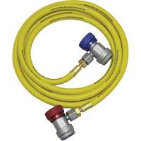 Mastercool 69889-SF HA R134a A/C System Flush Hose Assembly