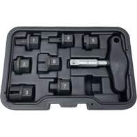 CTA 1320 8 Pc. Oil Drain Plug Kit